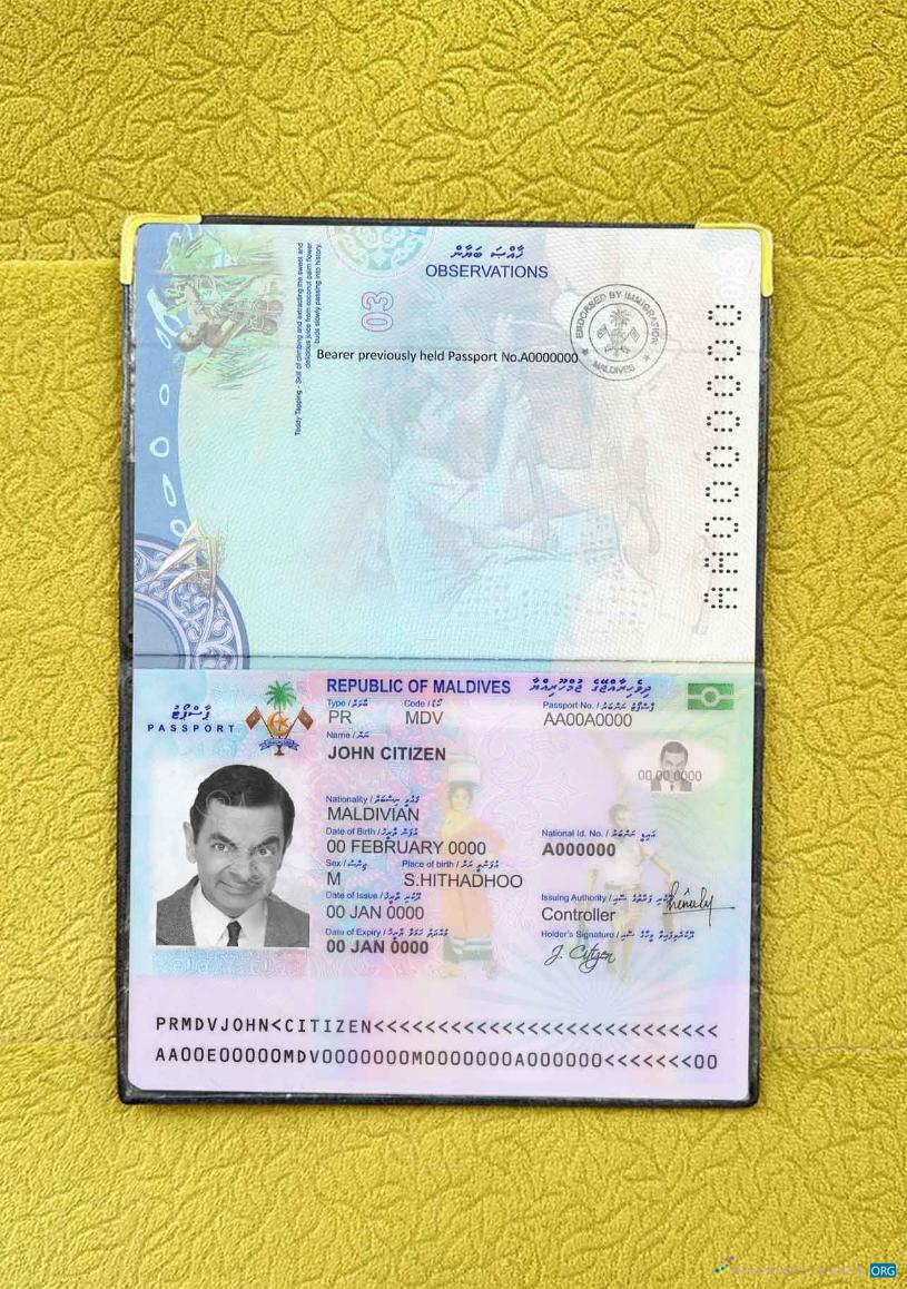 Download Maldives passport photo look Photoshop template